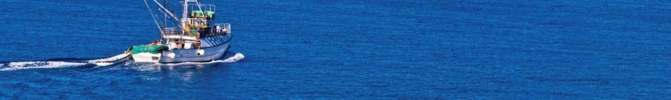 Contact FishTrax