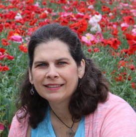 Christina A. Mireles DeWitt