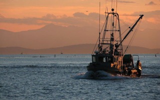 Seafood Lovers 2
